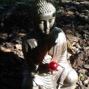 Meet your Posher, Don